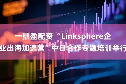 一鼎盈配资 “Linksphere企业出海加速营”中日合作专题培训举行