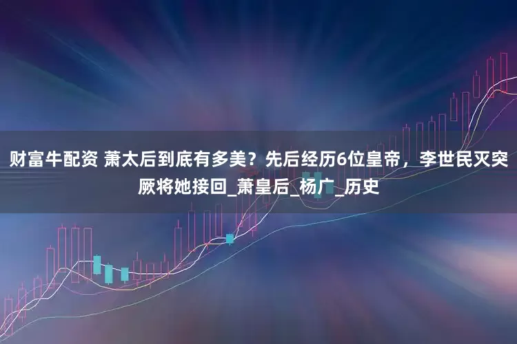 财富牛配资 萧太后到底有多美？先后经历6位皇帝，李世民灭突厥将她接回_萧皇后_杨广_历史