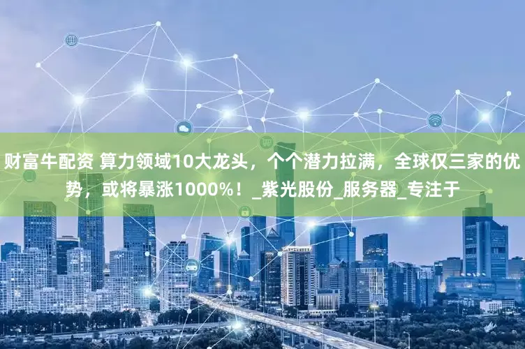 财富牛配资 算力领域10大龙头，个个潜力拉满，全球仅三家的优势，或将暴涨1000%！_紫光股份_服务器_专注于